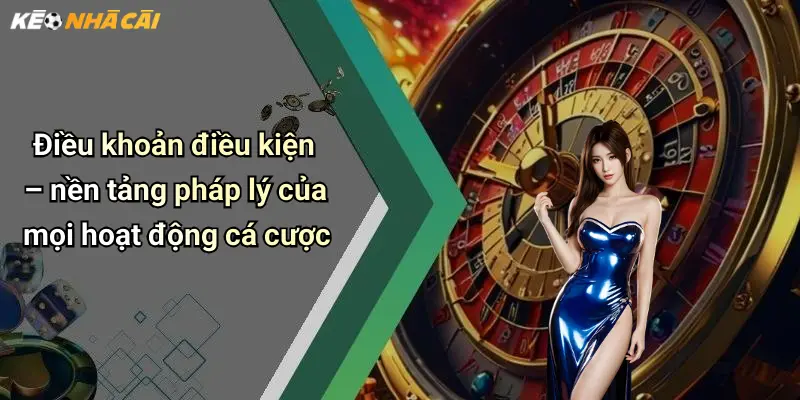 Điều khoản điều kiện – nền tảng pháp lý của mọi hoạt động cá cược
