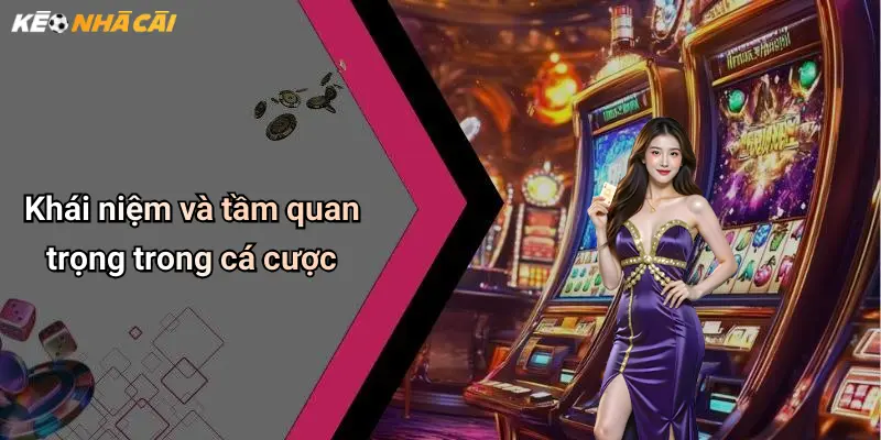Khái niệm và tầm quan trọng trong cá cược