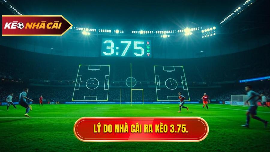 Lý do nhà cái ra kèo 3.75