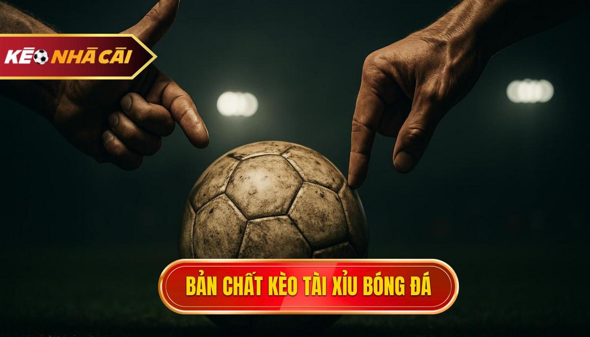 https://dhowpalacehoteldubai.com/tai-xiu-bong-da
