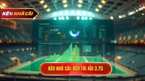 Kèo tài xỉu 3.75 hiệp 2 là gì? Bí quyết soi kèo từ chuyên gia