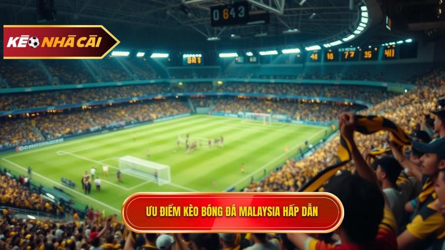Tại sao kèo bóng đá Malaysia lại được ưa chuộng đến vậy?