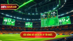 Kèo bóng đá Socolive – Phân tích kèo nhà cái trực tuyến chuẩn xác nhất