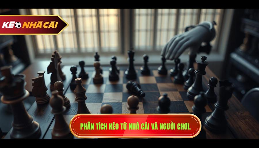 Phân tích kèo từ nhà cái và người chơi.